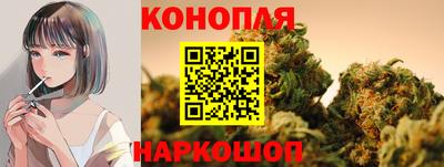 дмт Будённовск